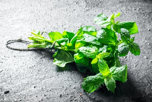 Preview: Bunch of fresh fragrant mint.