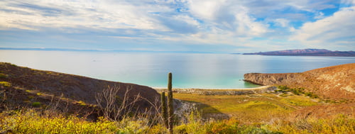 Vorschau: Baja