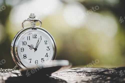 Preview: Close up of pocket watch on tree branch outside.