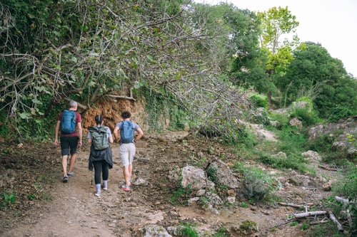 Preview: Group of friends hiking trail enjoying nature adventure