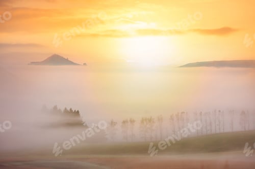 Preview: Fog in the fields