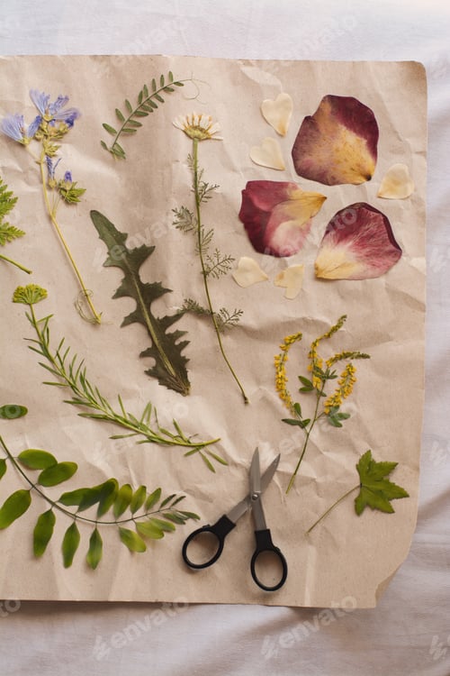 Preview: Sheet of paper with dried flowers and leaves on white fabric, top view