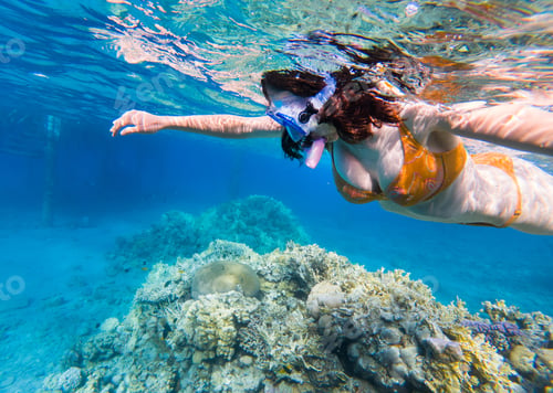 Preview: Woman snorkeling above coral reef