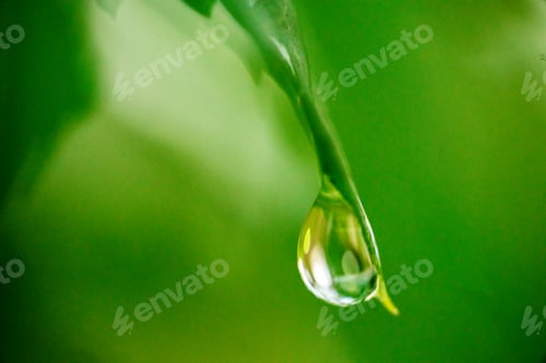Preview: Drop of water