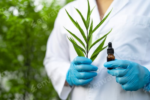 Preview: Doctors scientist holding bottle of herb oil plant product, droplet dosing,