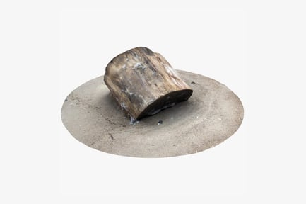 Preview: Weathered Wood Stump on Sandy Surface