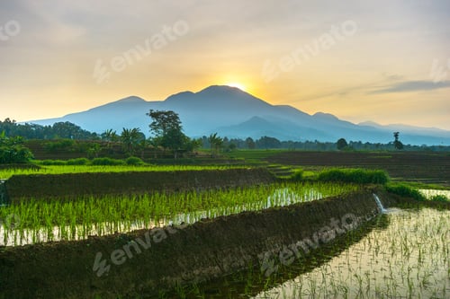 Preview: Beautiful morning view indonesia, Panorama Landscape paddy fields with beauty color and sky natural