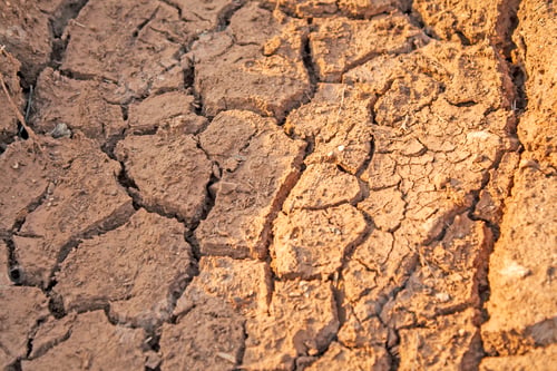Preview: cracked ground