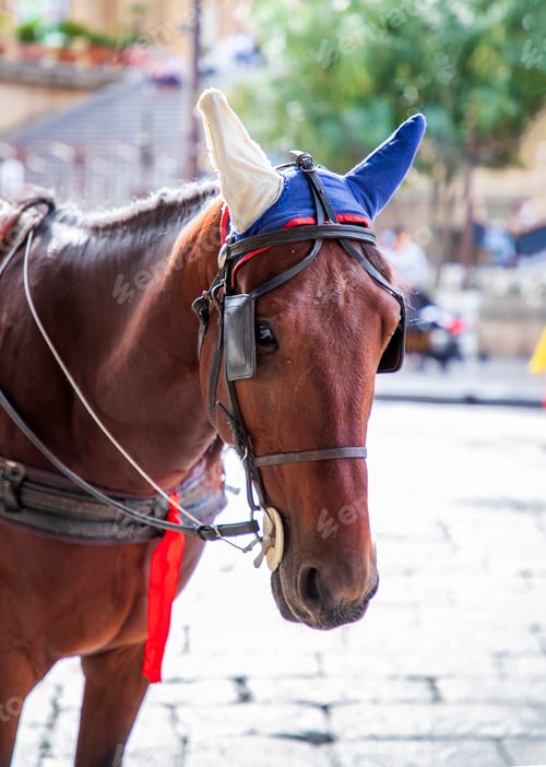 Preview: Horse