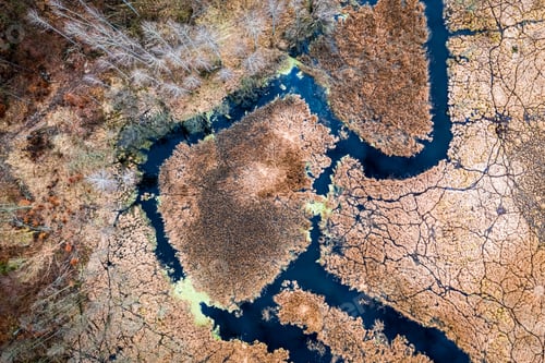 Preview: Aerial view of river and brown swamps in Poland