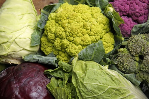Preview: Different cabbages as background. Healthy food