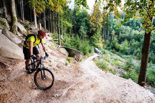 Preview: Mountain biker riding cycling in autumn forest