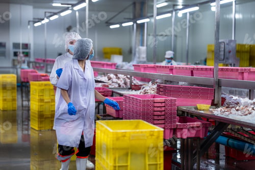 Preview: Food and manufacturing researchers oversee seafood production lines