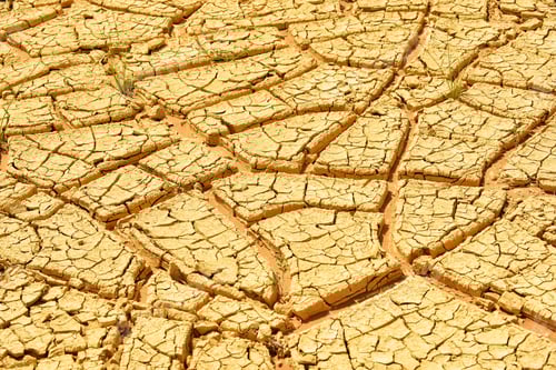 Preview: Climate change in the desert is evidenced by cracked dry sandy surfaces with parched random shapes