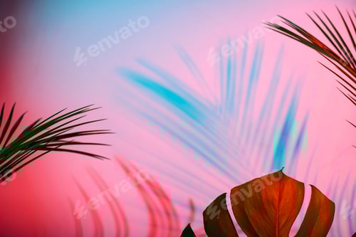 Preview: Tropical leaves in neon light with duotone shadows