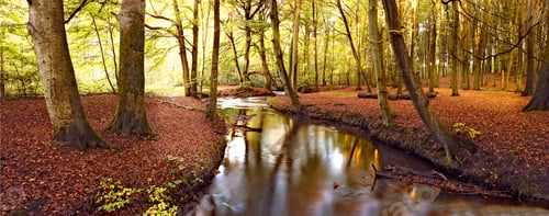 Preview: Beautiful autumn