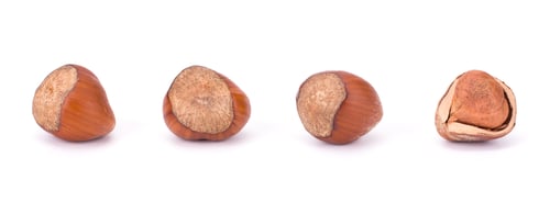 Preview: Hazelnut or filbert nut isolated on white background cutout