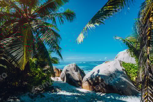 Preview: Famous tropical beach Anse Source d'Argent natural palm shade, granite boulders, La Digue Island