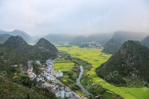 Preview: yunnan landscape of rapeseed flowers field