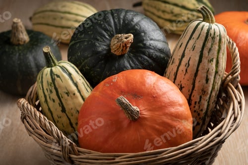 Preview: Variety of different pumpkins in autumn in a basket