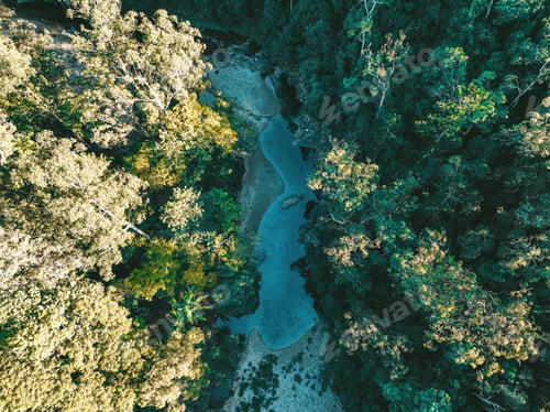 Preview: a river surrounded by forest trees is seen from above on a sunny day: booloumba creek