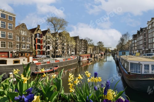 Preview: a canal in amsterdam with boats and flowers