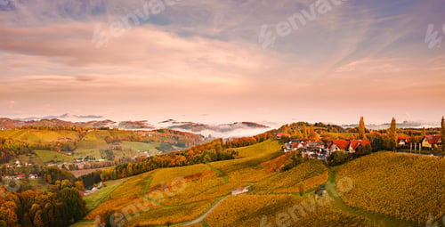 Preview: Aerial view from Eckberg at Autumn grape hills and foggy Alps in distance