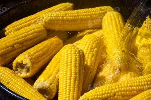 Preview: Process of cooking fresh mature corn. Sale of freshly boiled hot corn at fair.