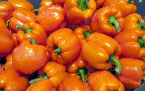 Preview: orange paprika on the floriade show 2012
