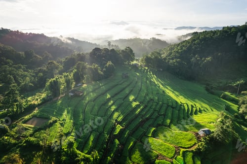 Preview: Fields on mountains in foggy morning