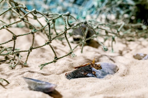 Preview: Summer sand sea beach with waves and fishing nets