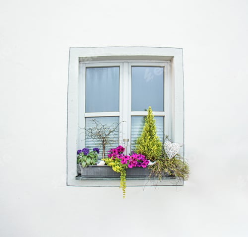 Preview: window with beautiful flowers in a pot, petunias and automatic watering system, exterior details