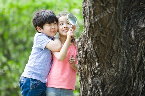 Preview: Happy children playing in woods