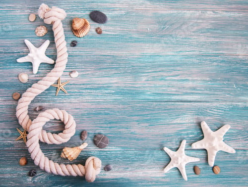 Seashells, Starfish, and Rope on Blue Wood Planks