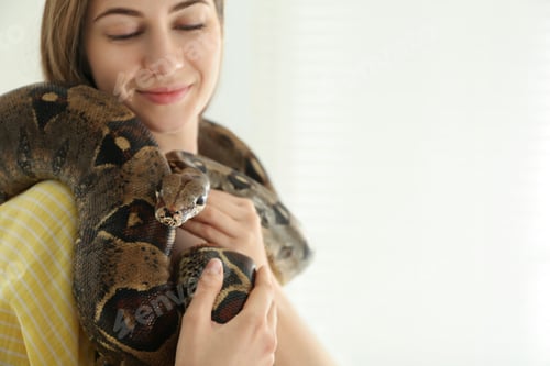 Preview: Young woman holding boa constrictor on light background, closeup. Exotic pet