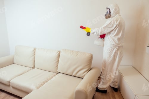 Preview: pest control worker in uniform spraying pesticides under couch in living lounge room