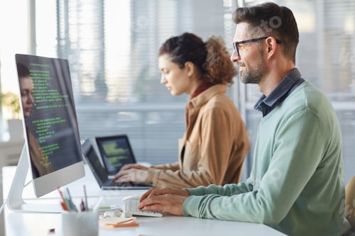 Preview: People working on software project