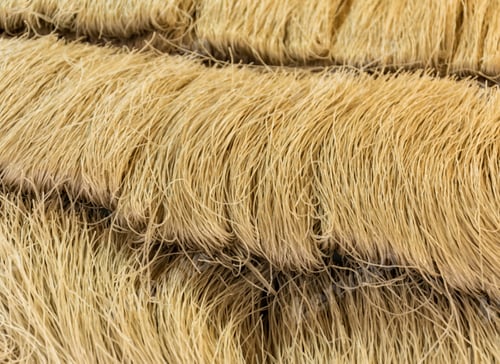 Preview: Korean vermicelli