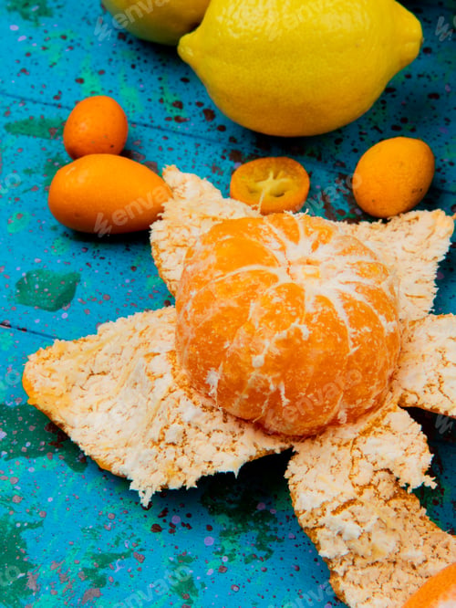 Preview: side view of citrus fruits as tangerine lemon kumquat on blue background