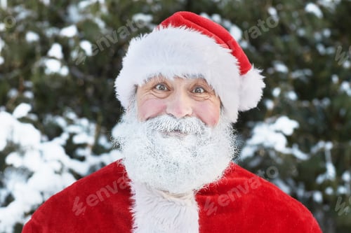 Preview: Happy Santa in Forest