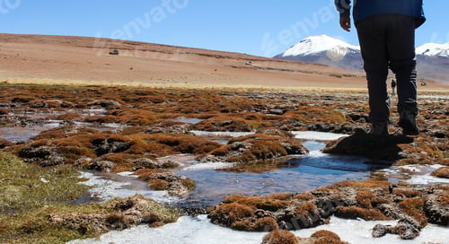 Preview: A man walks on the Bolivian altiplano.