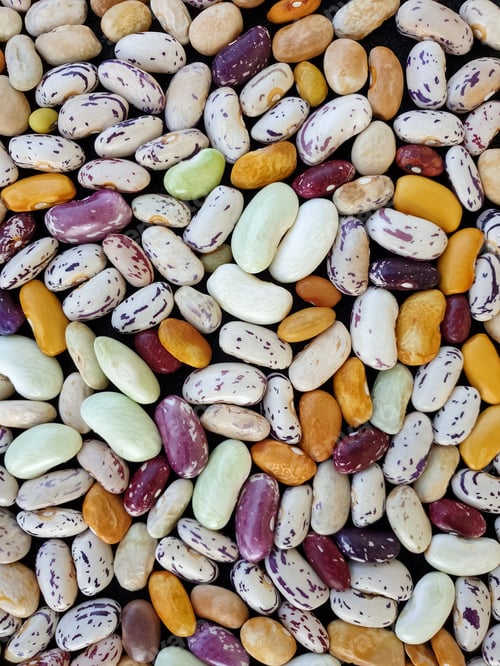 Preview: High angle shot of heap of colorful kidney beans, Heap of colorful raw kidney beans (legumes)