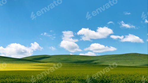 Preview: Grassland in China