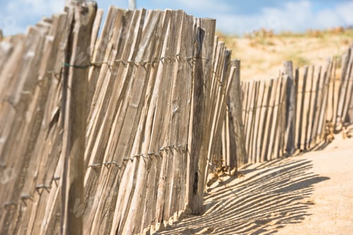Preview: Wooden fence on Atlantic beach in France