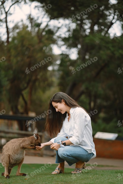 Preview: Woman at a reserve is playing with a kangaroo