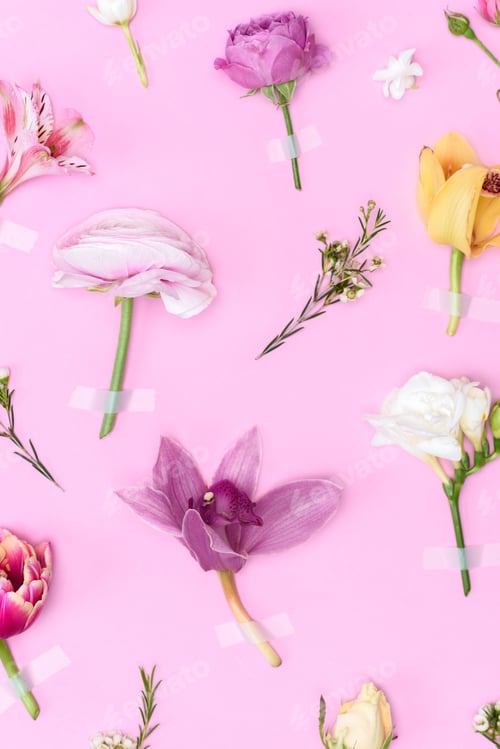 Preview: Top view of beautiful blooming flowers and buds isolated on pink