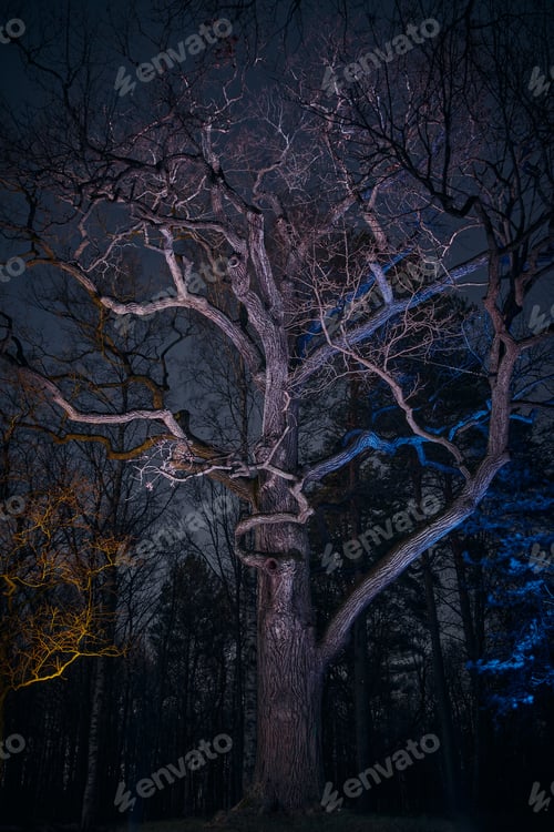 Preview: Mystical tree in the dark.