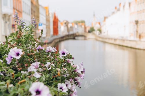Preview: Flowers on the bridge in Bruges, Belgium