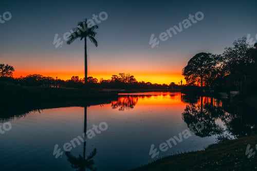 Preview: Landscape of a gulf surrounded by trees during a beautiful sunset in St. Petersburg, Florida