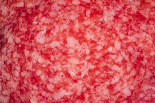 Preview: macro detail of salami sausages slice